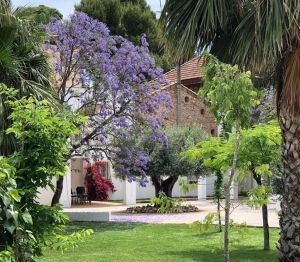 Eventos Premier es un lugar dedicado a la Organización de eventos