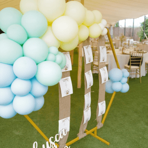 GLOBOS-BAUTIZO-monos Seating plan para bautizo