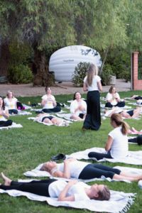 Sesión de yoga en la naturaleza